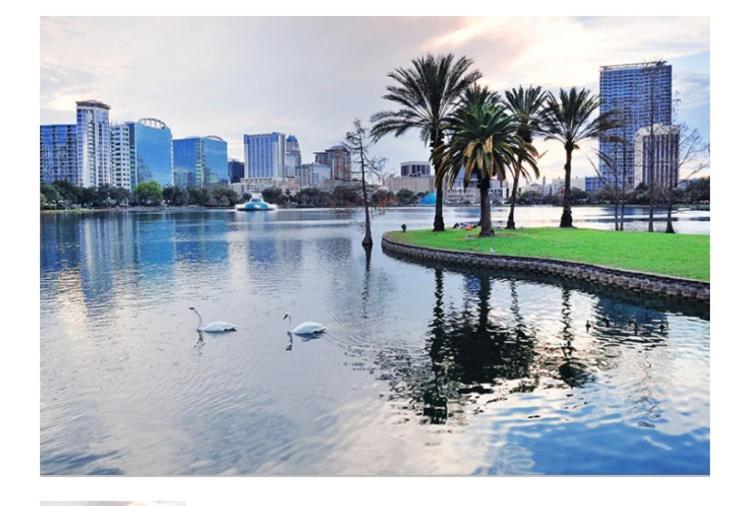 College Park-Orlando 5Star Villa Oasis - Home Away From Home - Quiet Neighborhood-Private Botanical Courtyard - Mins From Eola,Dt, Winter Park - Free Parking & Ev Plug In Eksteriør bilde